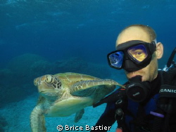 selfshot with a green turtle + bonus reflection in my mas... by Brice Bastier 